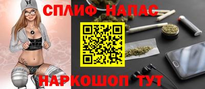 мдпв Новозыбков