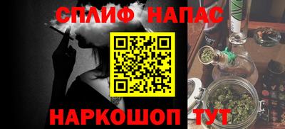 мдпв Новозыбков