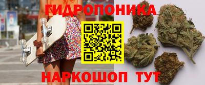 мдпв Новозыбков